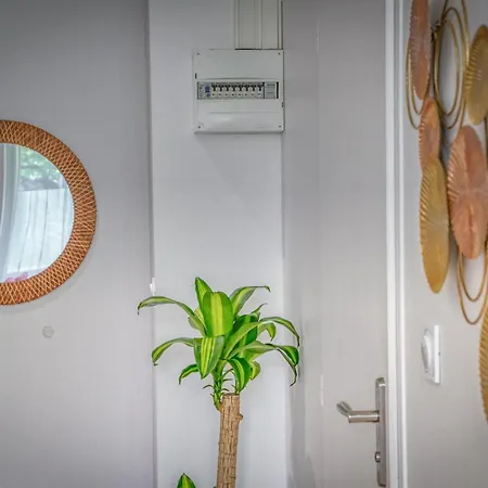 Le Taillefer 4 - L'oasis *